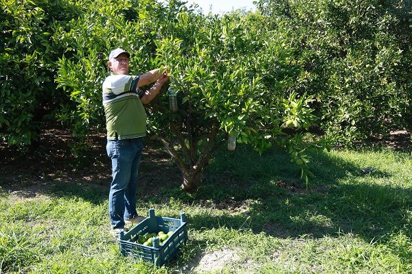 Foto - Çalıştıracak kimseyi bulamadı! Oysa yevmiyesi bin TL