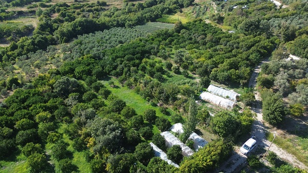 Foto - Çalıştıracak kimseyi bulamadı! Oysa yevmiyesi bin TL