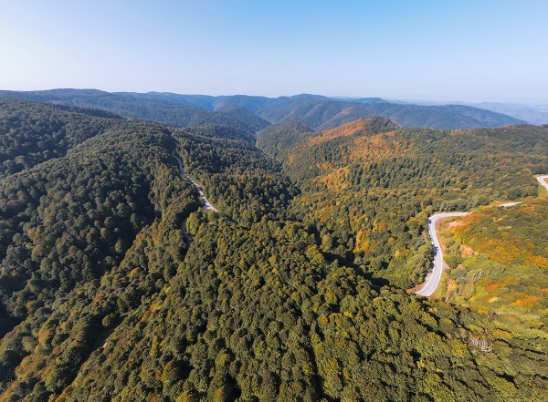 Foto - Çam Dağı'na sonbaharın renkleri 