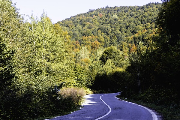 Foto - Çam Dağı'na sonbaharın renkleri 