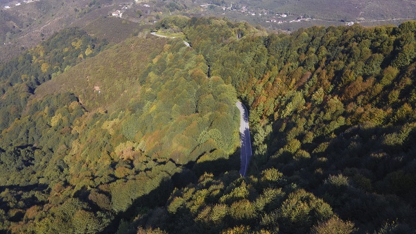 Foto - Çam Dağı'na sonbaharın renkleri 