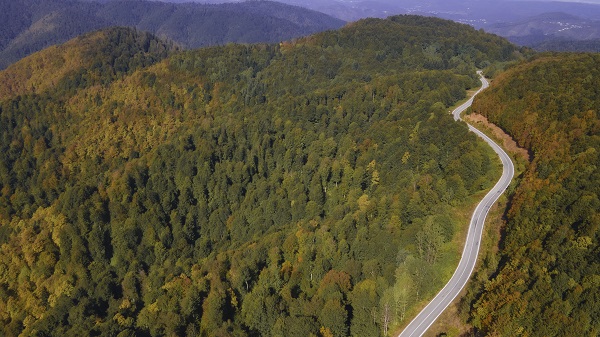 Foto - Çam Dağı'na sonbaharın renkleri 