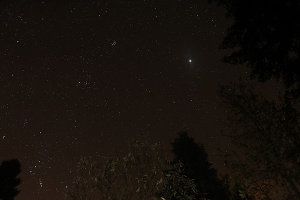 Foto - Çam Dağı'nda görsel şölen