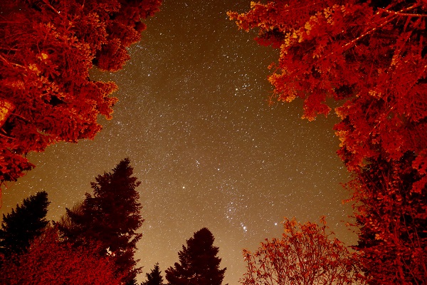 Çam Dağı'nda görsel şölen
