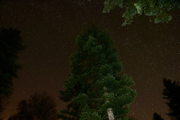 Foto - Çam Dağı'nda görsel şölen