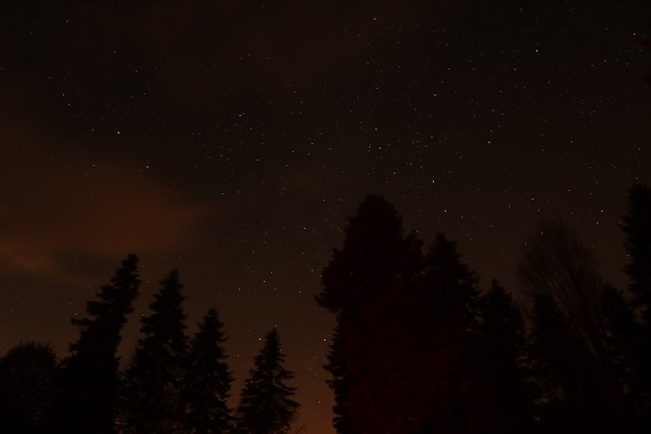 Foto - Çam Dağı'nda görsel şölen