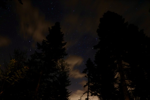 Foto - Çam Dağı'nda görsel şölen
