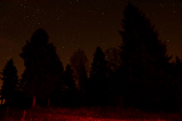 Foto - Çam Dağı'nda görsel şölen