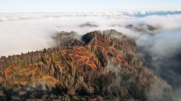 Foto - Çam Dağı'nda renk cümbüşü