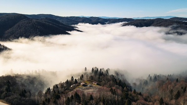 Foto - Çam Dağı'nda renk cümbüşü