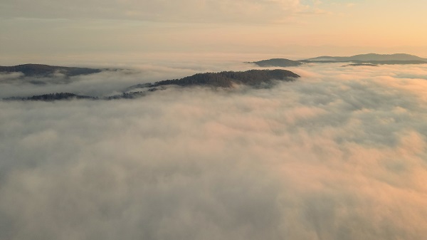 Foto - Çam Dağı’nda renk cümbüşü