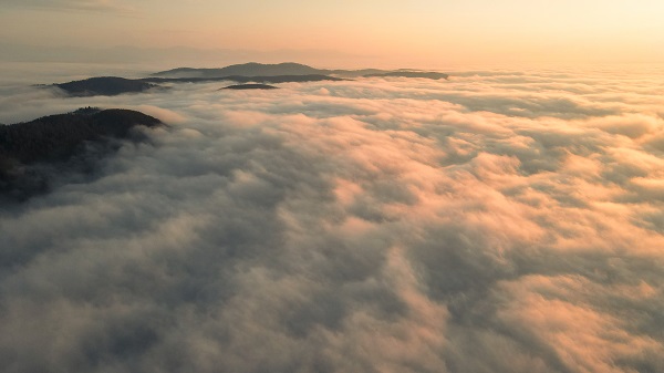 Foto - Çam Dağı’nda renk cümbüşü