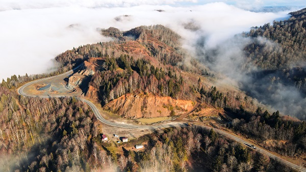 Foto - Çam Dağı'nda renk cümbüşü