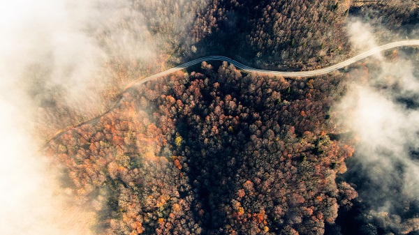 Foto - Çam Dağı'nda renk cümbüşü