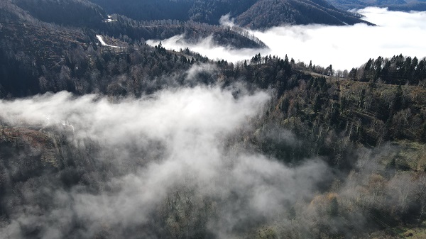 Foto - Çam Dağı'nda renk cümbüşü