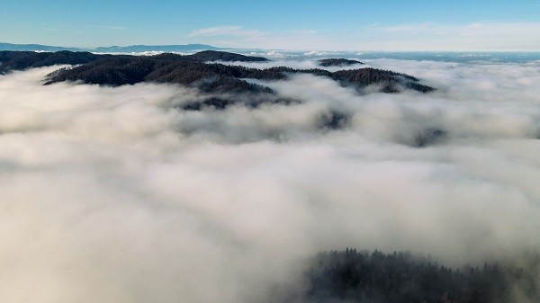 Foto - Çam Dağı'nda renk cümbüşü