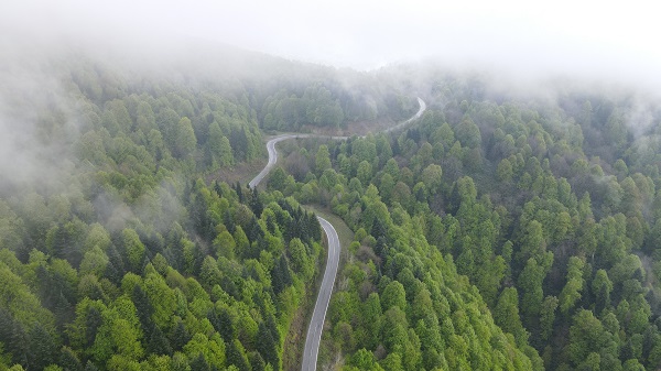 Foto - Çam Dağı'nda "sis" başka güzel