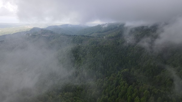 Foto - Çam Dağı'nda "sis" başka güzel