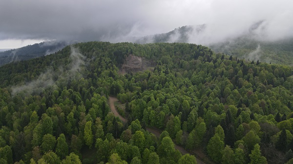 Foto - Çam Dağı'nda "sis" başka güzel