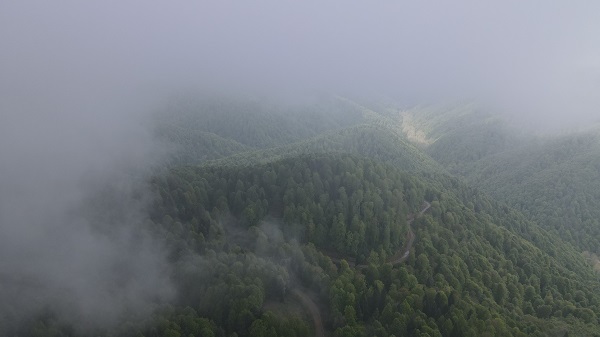 Foto - Çam Dağı'nda "sis" başka güzel
