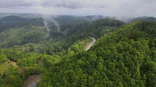 Foto - Çam Dağı'nda "sis" başka güzel