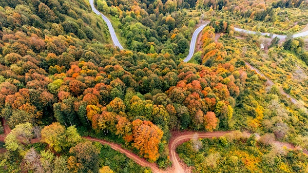Foto - Çam Dağı'nda sonbahar manzarası 