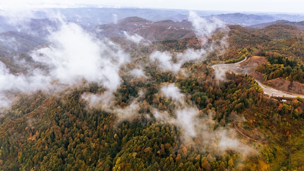 Foto - Çam Dağı'nda sonbahar manzarası 