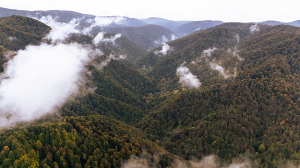 Foto - Çam Dağı'nda sonbahar manzarası 