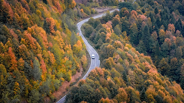 Foto - Çam Dağı'nda sonbahar manzarası 