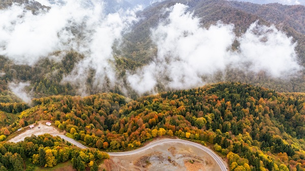 Foto - Çam Dağı'nda sonbahar manzarası 