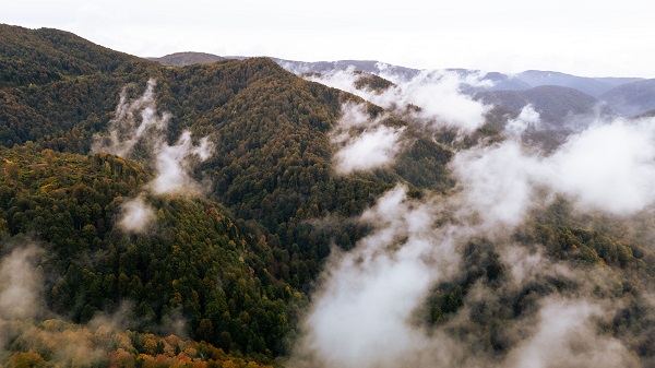 Çam Dağı'nda sonbahar manzarası 