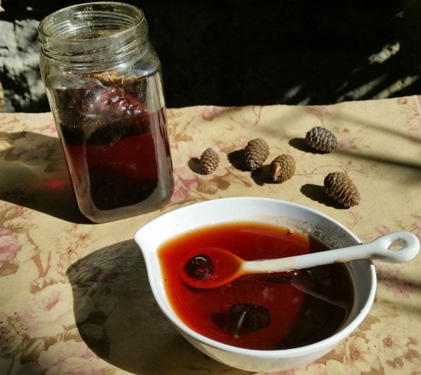 Foto - Çam kozalağından reçel yaptılar!