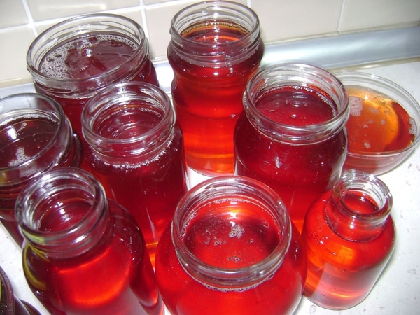 Foto - Çam kozalağından reçel yaptılar!