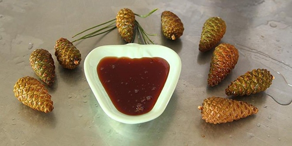 Foto - Çam kozalağından reçel yaptılar!