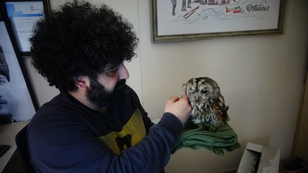 Foto - Cama çarpan baykuşa bebek gibi baktılar! 