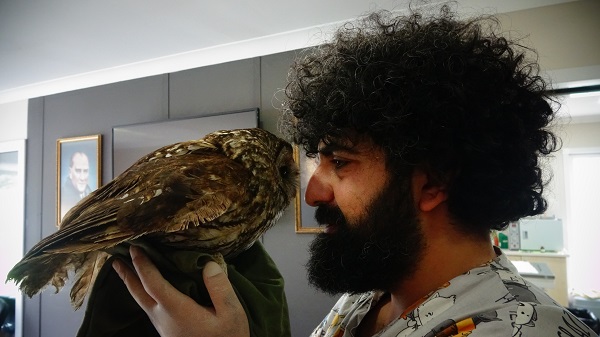 Foto - Cama çarpan baykuşa bebek gibi baktılar! 