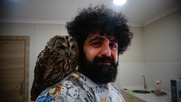 Foto - Cama çarpan baykuşa bebek gibi baktılar! 