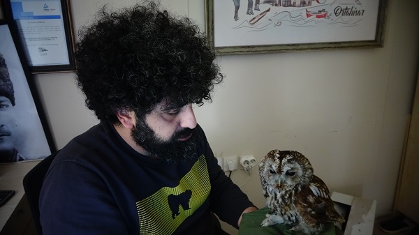 Foto - Cama çarpan baykuşa bebek gibi baktılar! 