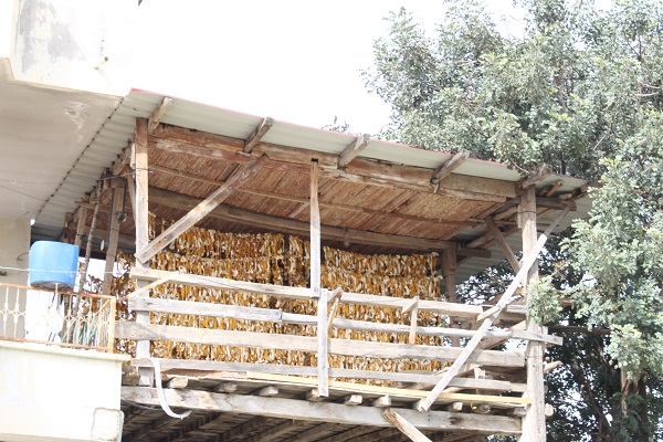 Foto - Çamaşır değil kabuk kurutuyorlar! Bu yöntemle fiyatı 3 TL'den 18 TL'ye çıktı