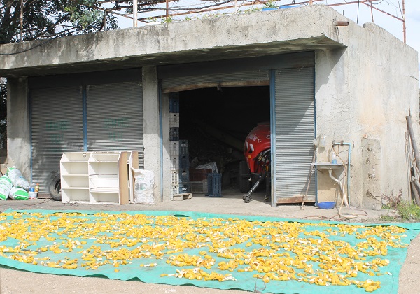 Foto - Çamaşır değil kabuk kurutuyorlar! Bu yöntemle fiyatı 3 TL'den 18 TL'ye çıktı