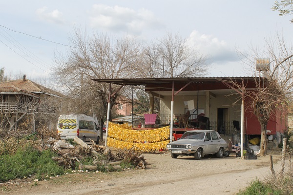 Foto - Çamaşır değil kabuk kurutuyorlar! Bu yöntemle fiyatı 3 TL'den 18 TL'ye çıktı