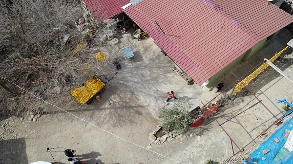 Foto - Çamaşır değil kabuk kurutuyorlar! Bu yöntemle fiyatı 3 TL'den 18 TL'ye çıktı