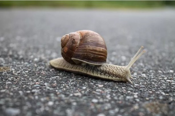 Foto - Çamaşır makinesi 1 bardak kola koyarsanız bakın ne oluyor! Çoğu insan bu şekilde çözüm bulmuş