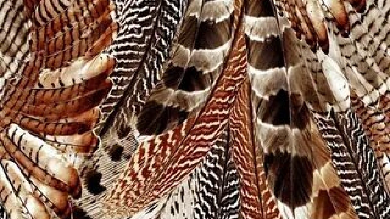 Foto - Çamaşır makinesinde büyük hata! Bu eşyaları yıkamak cebinizi yakıyor