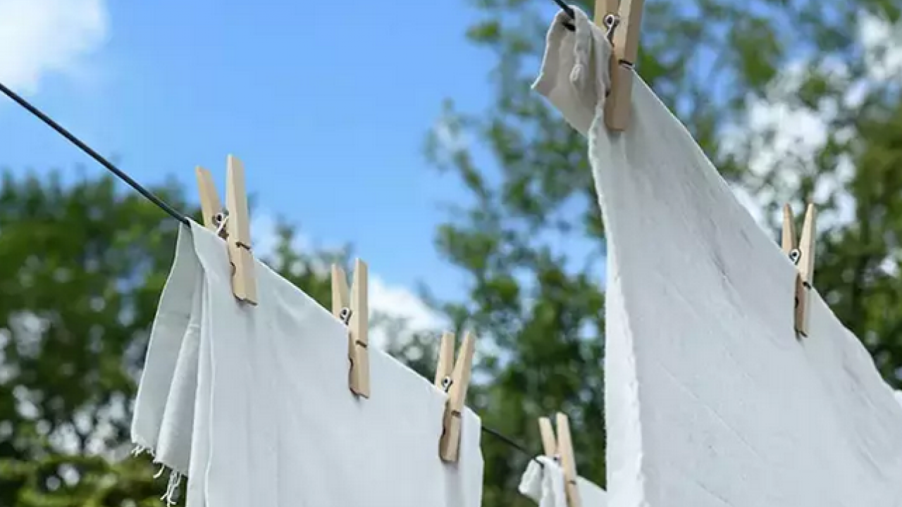 Foto - Çamaşırlarınız günlerce mis gibi kokacak! 1 damlası yeterli: Dolabın içerisinde koyuluyor, kokuyu alan hemen koklayacak