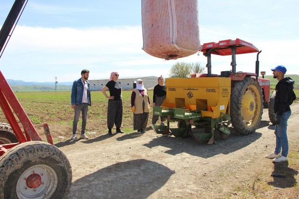 Foto - Cambridge mezunu kadın çiftçi, bunu ekmeye başladı! Paraya para demiyor! İnka kral ve kraliçelerinin yemeği şifa deposu