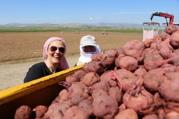 Foto - Cambridge mezunu kadın çiftçi, bunu ekmeye başladı! Paraya para demiyor! İnka kral ve kraliçelerinin yemeği şifa deposu
