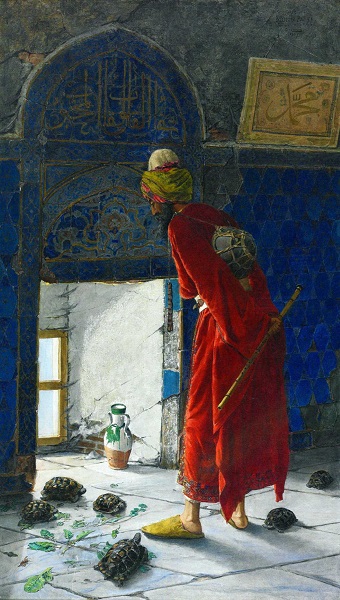 Foto - Cami bahçesinde 30 kaplumbağa besliyor! Modern zamanın 