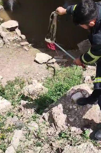 Foto - Cami bahçesine giren yılan paniğe neden oldu