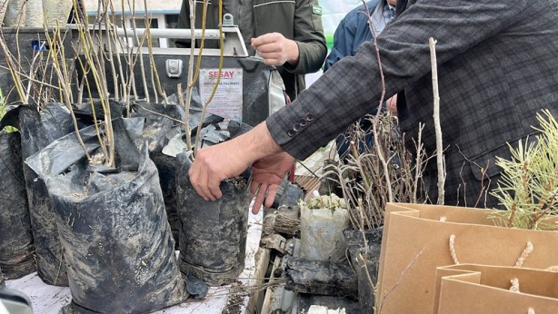 Foto - Camide vatandaşlara 3 bin fidan